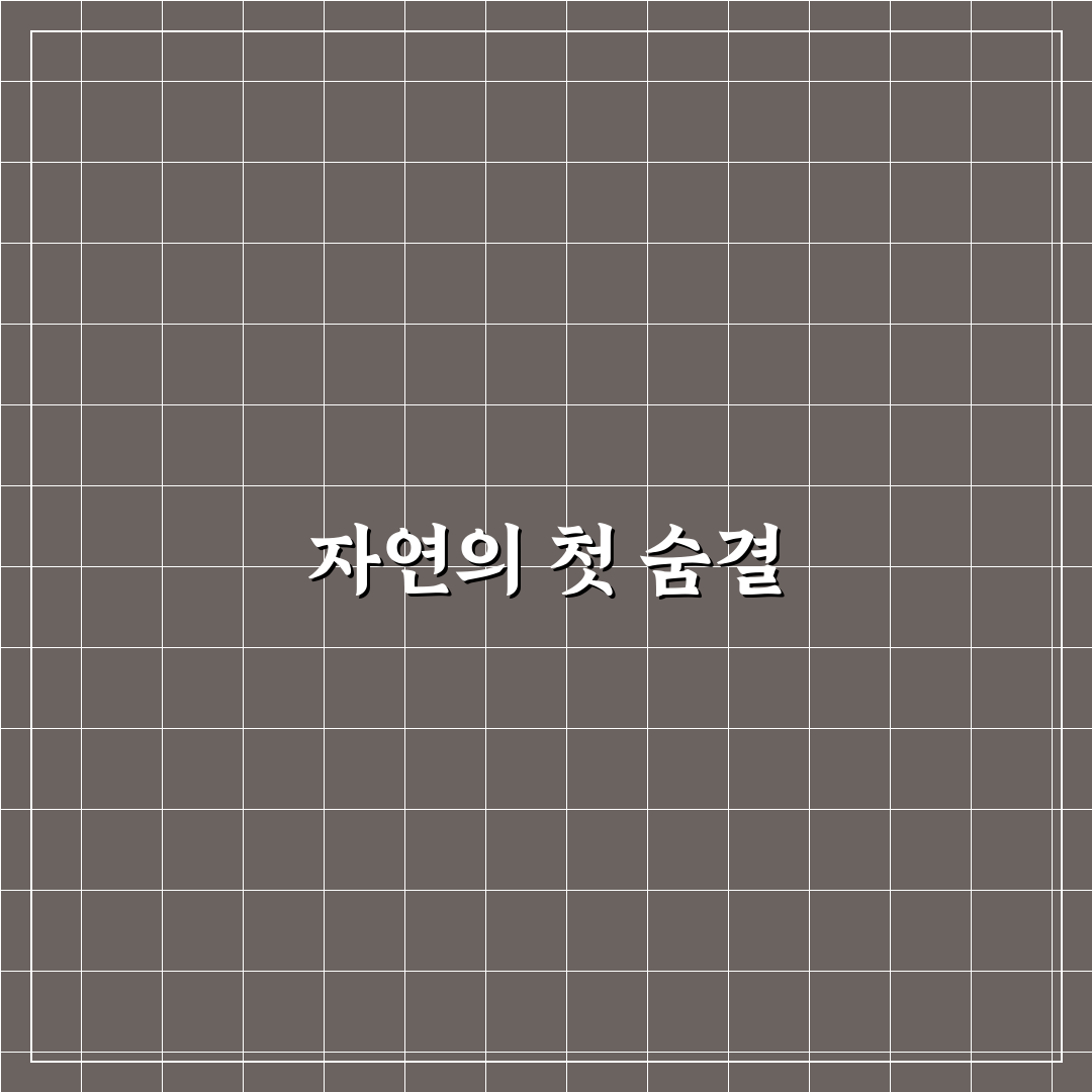 말차팩 사용 후기, 직접 써보니 피부 상태 변화가 느껴졌어요