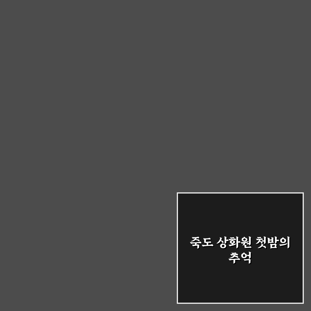 죽도 상화원 숙박 요금 직접 알아보니 예상보다 합리적이었어요