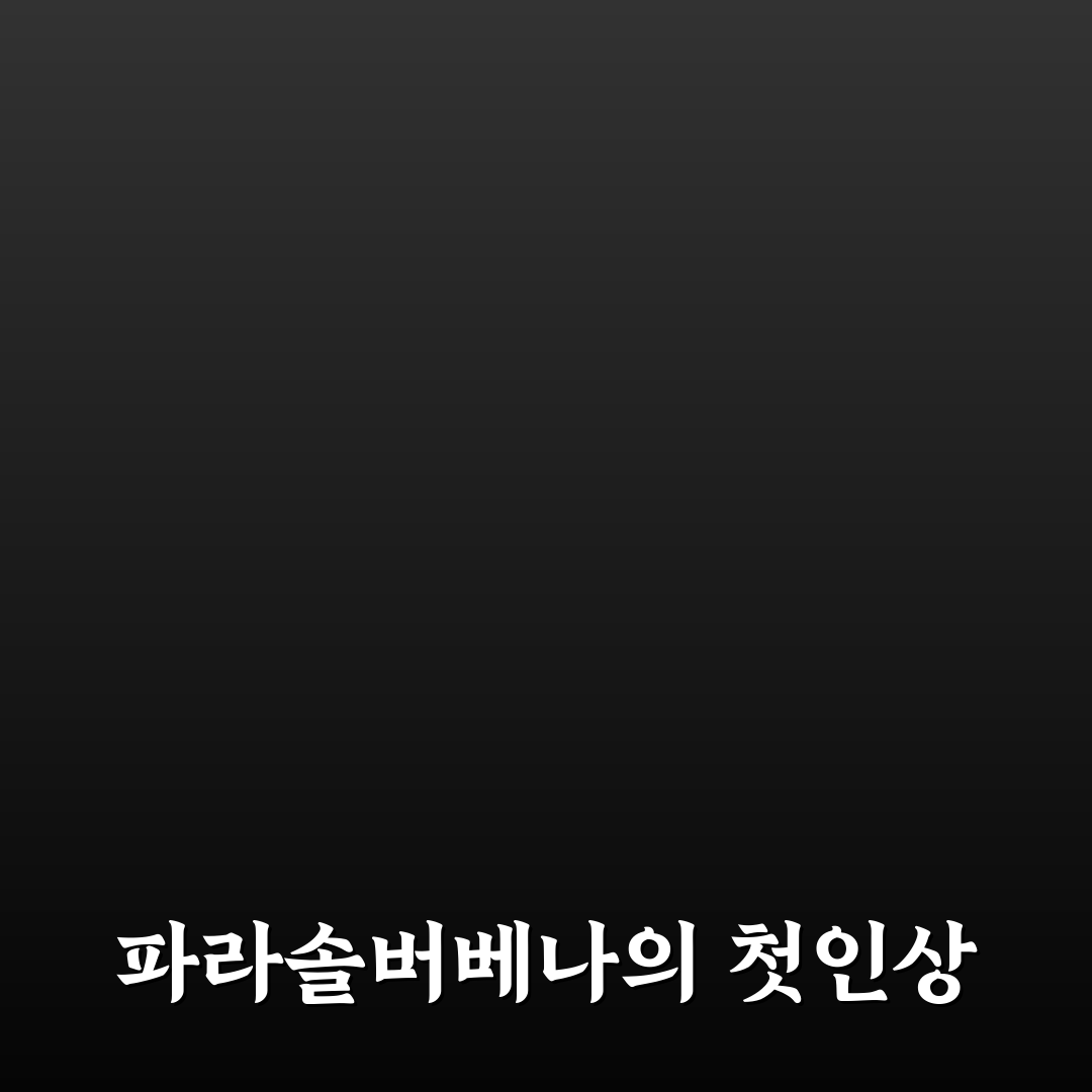 파라솔버베나 사용 후기, 직접 써보니 느낌은