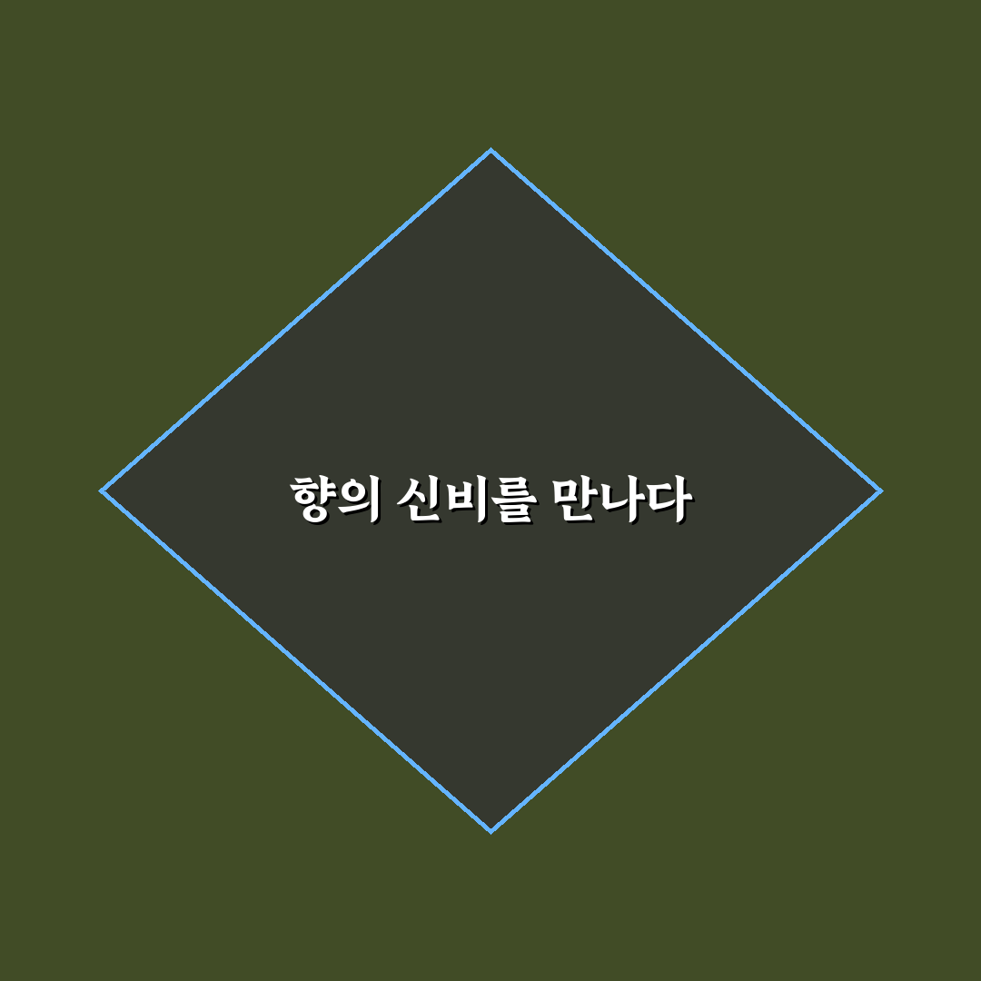 침향차 가격 직접 알아보니 생각보다 다양하네요