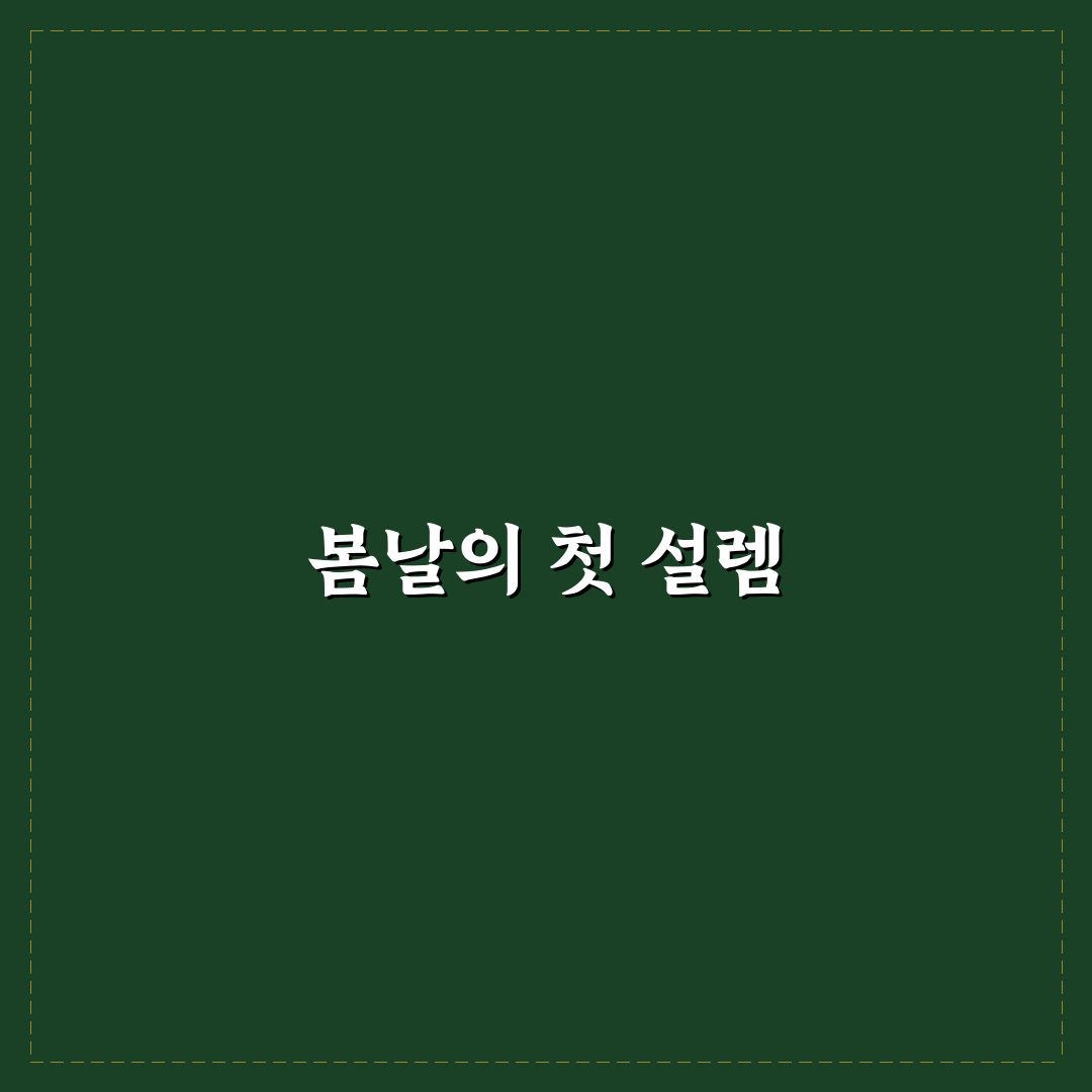 양귀비꽃 파종시기 직접 알아보니 적기와 주의점