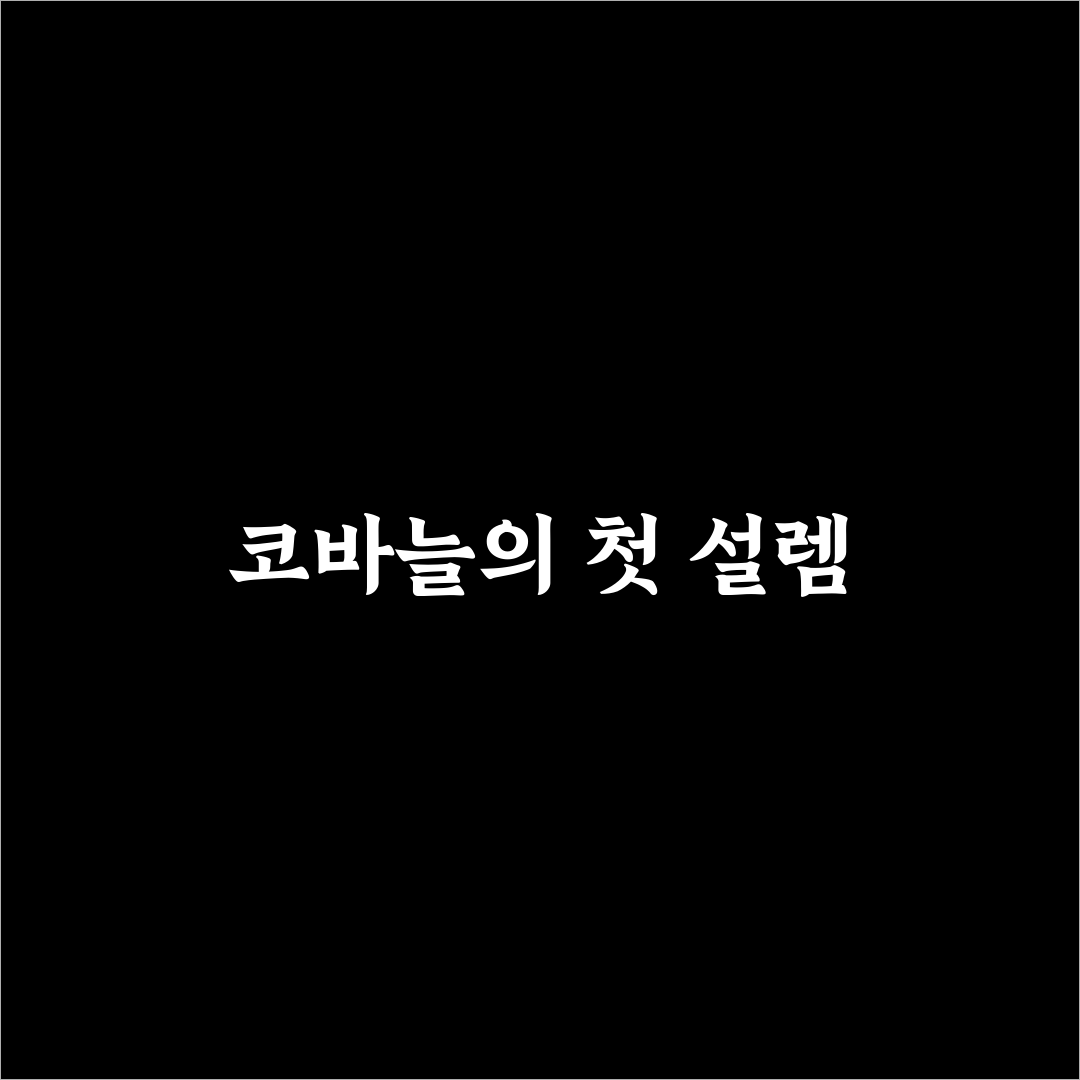 튤립 코바늘 세트 사용 후기, 실제 써보니 어떤지