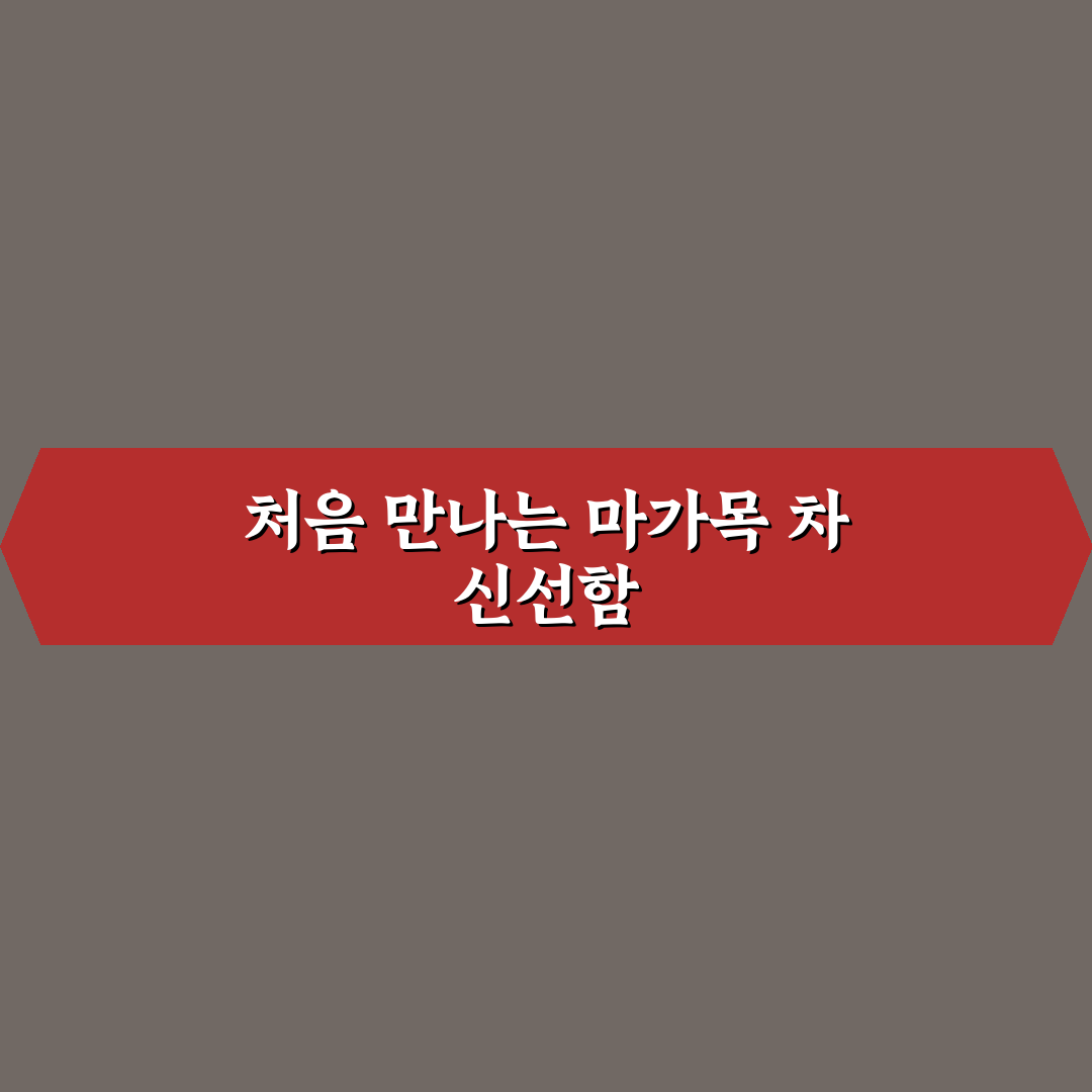 마가목 물끓이는방법 직접 해보니 주의할 점들