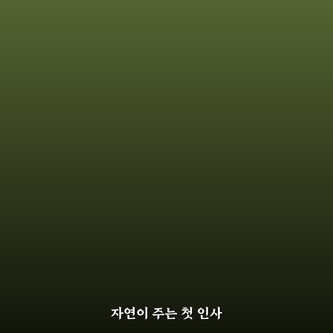 라일락 나무 묘목 직접 심어보고 느낀 점 후기