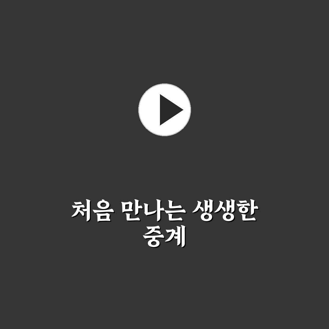 lafc 경기중계 직접 이용해보니 편리했던 점과 아쉬움