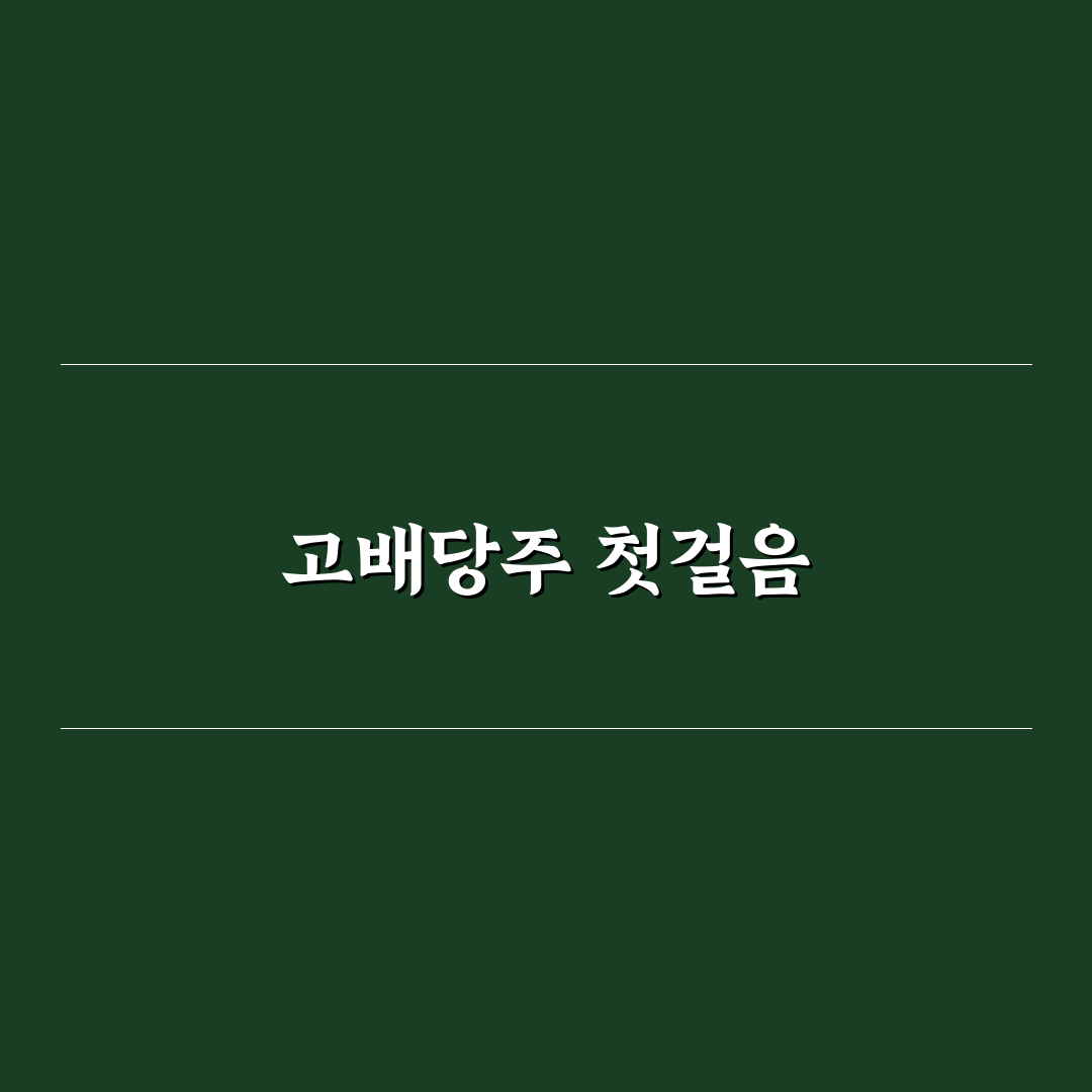 plus고배당주위클리커버드콜 배당금 직접 알아보니 궁금했던 점들