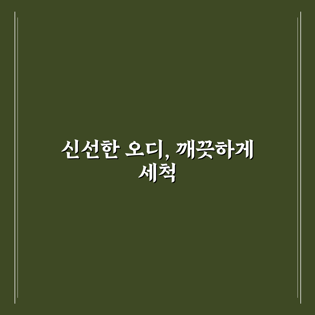 오디 세척법 직접 해보니 알게 된 핵심 팁