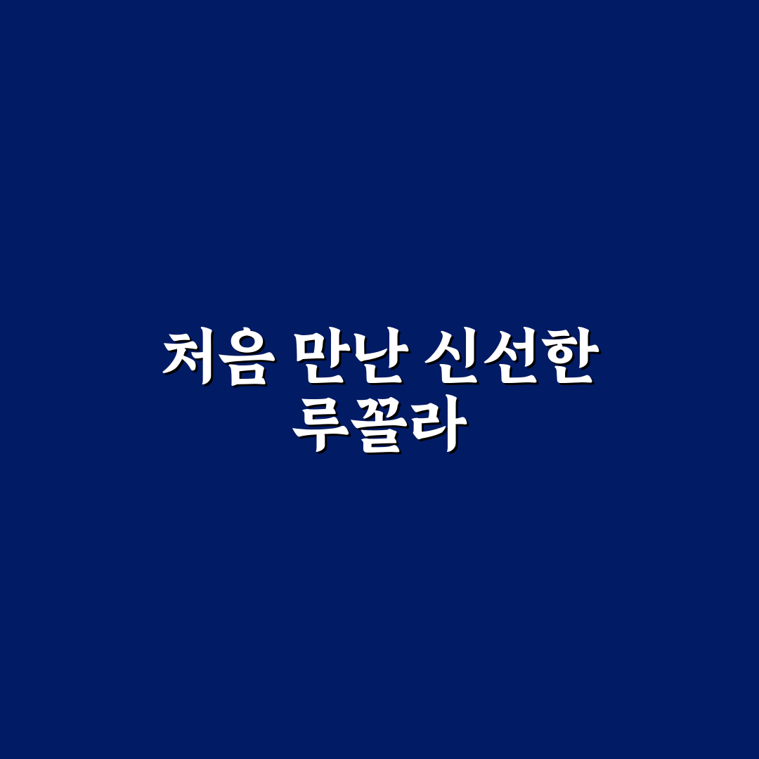 루꼴라 와일드루꼴라 차이 직접 알아보니 달랐던 점