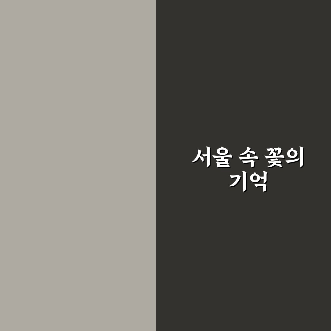 서울 데이지 명소 방문 후기, 한적한 산책 코스 경험기