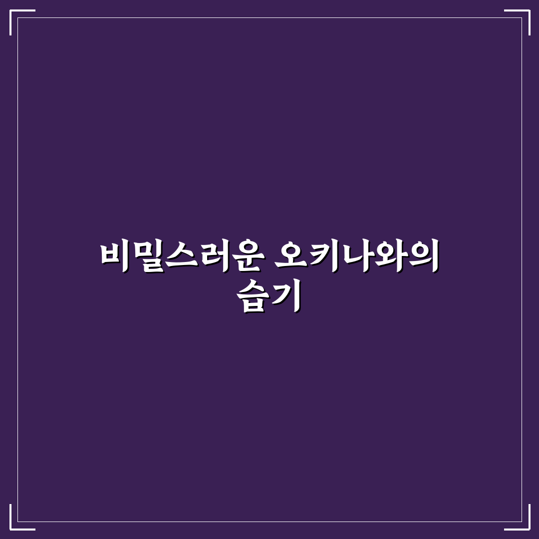 오키나와 우기 시즌 방문 후기, 비 오는 날은 어땠을까