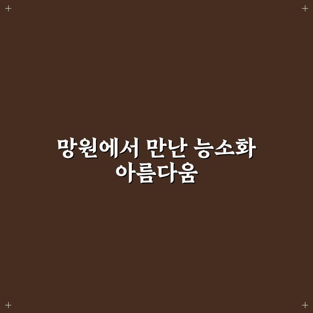 능소화 망원 방문 후기, 직접 가보니 분위기와 풍경은?