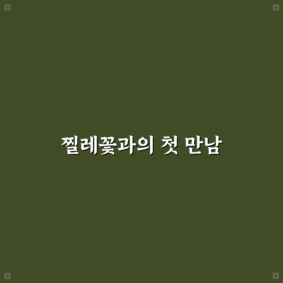 찔레꽃 키우는법 직접 알아보니 어려웠던 점과 팁