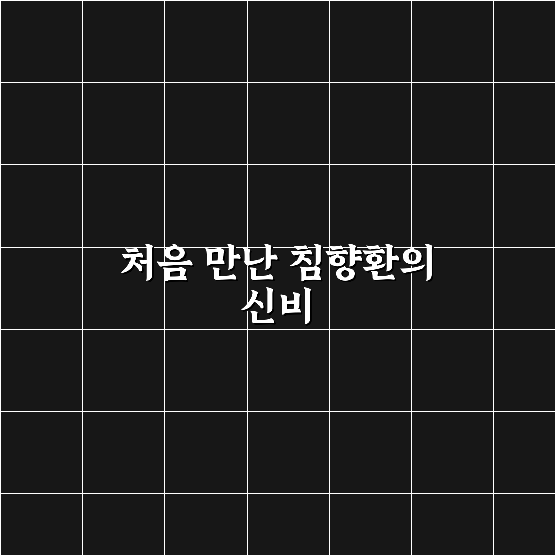 침향환 효능과 먹는법, 직접 알아보니 도움이 된 점