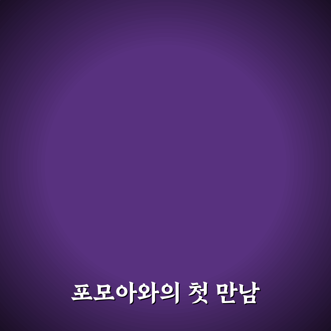 포모아 이용 후기, 실제 써보니 어땠는지