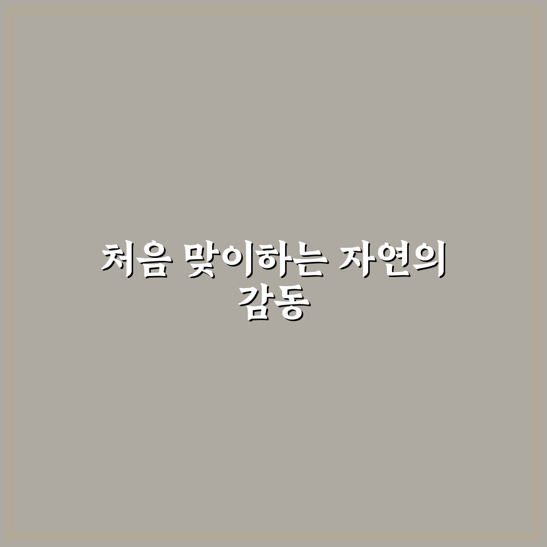 엘라스틴 프로폴리스 샴푸 사용 후기, 직접 써보니 어땠는지