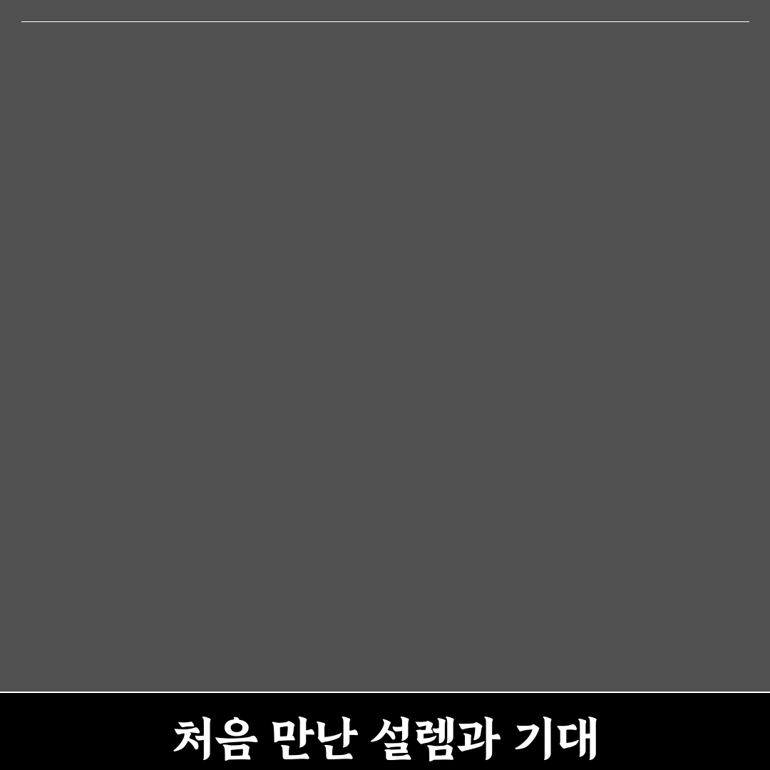원주 무실동 다이소 방문 후기, 구경해보니 필요한 물건 많더군요