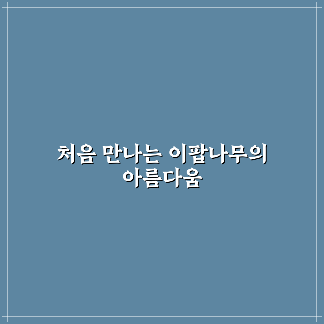 이팝나무 성지 방문 후기, 한적한 풍경 직접 느껴보니