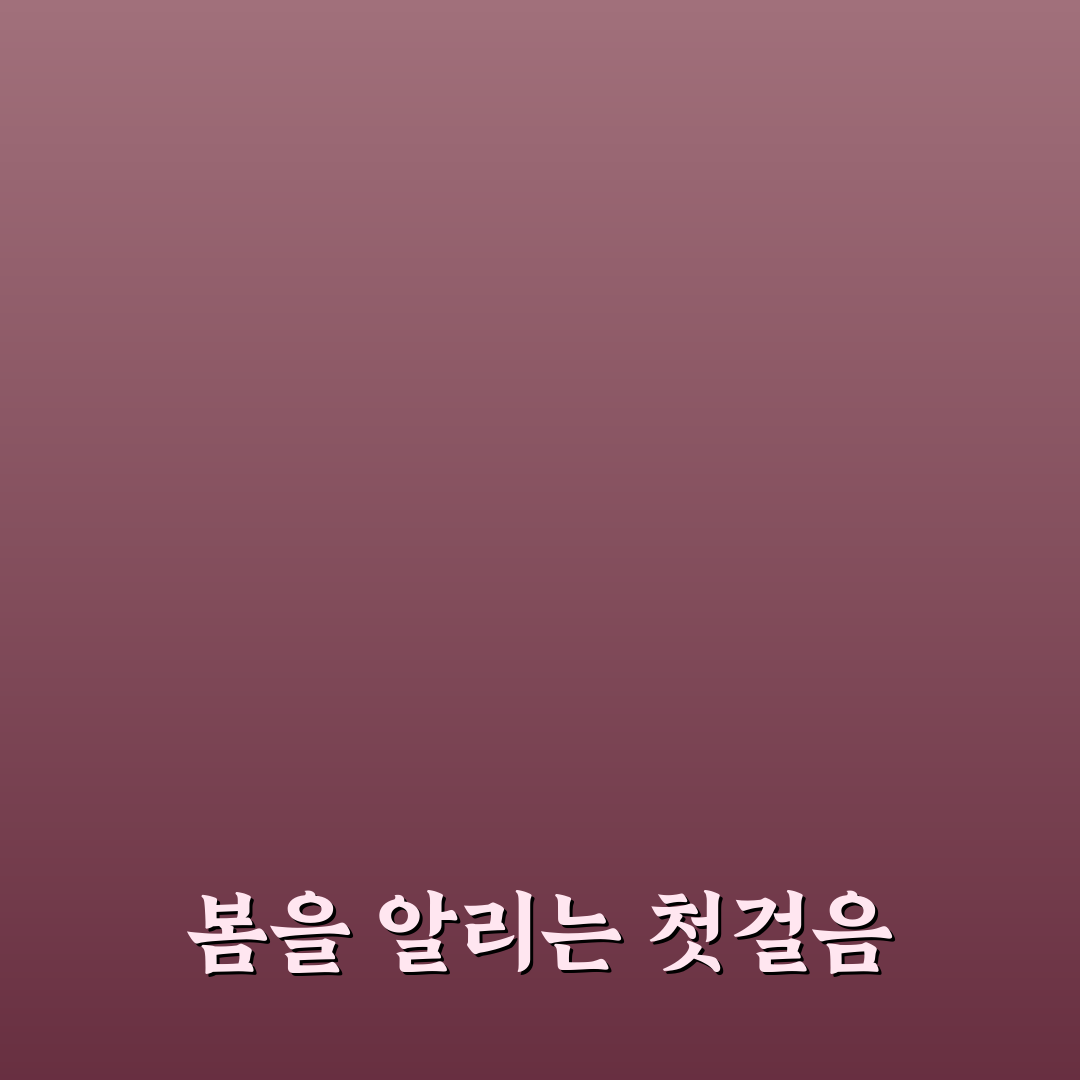 독일붓꽃 개화시기 직접 알아보니 계절별 변화가 있네요