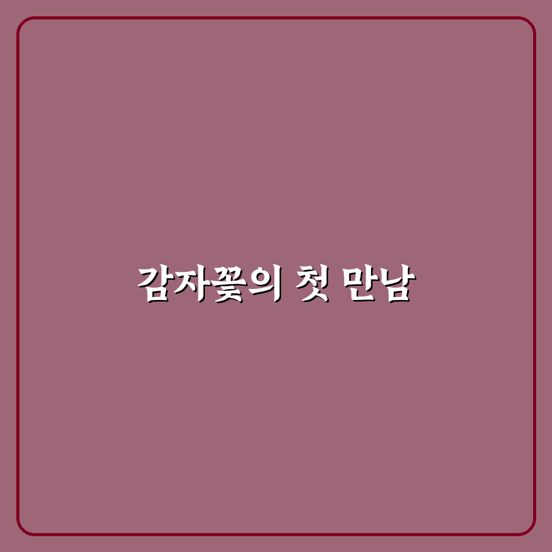 감자꽃 피는 시기 직접 알아보니 계절별 변화가 궁금했어요