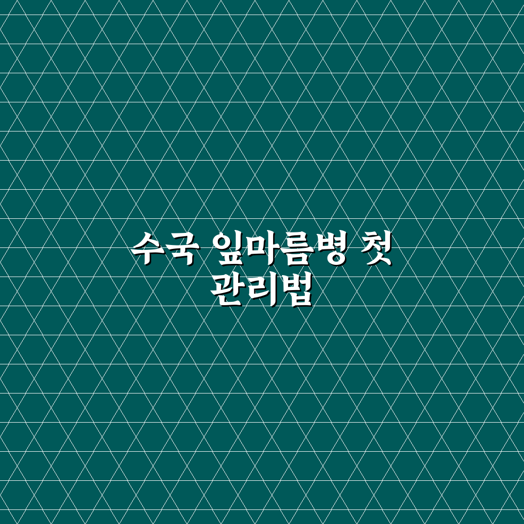 수국 잎마름병 직접 알아보니 관리가 쉽지 않았어요