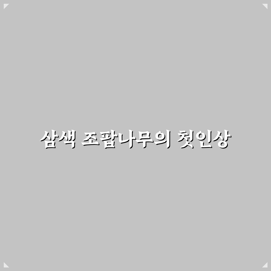삼색 조팝나무 직접 키워보니 계절별 변화가 신기했어요