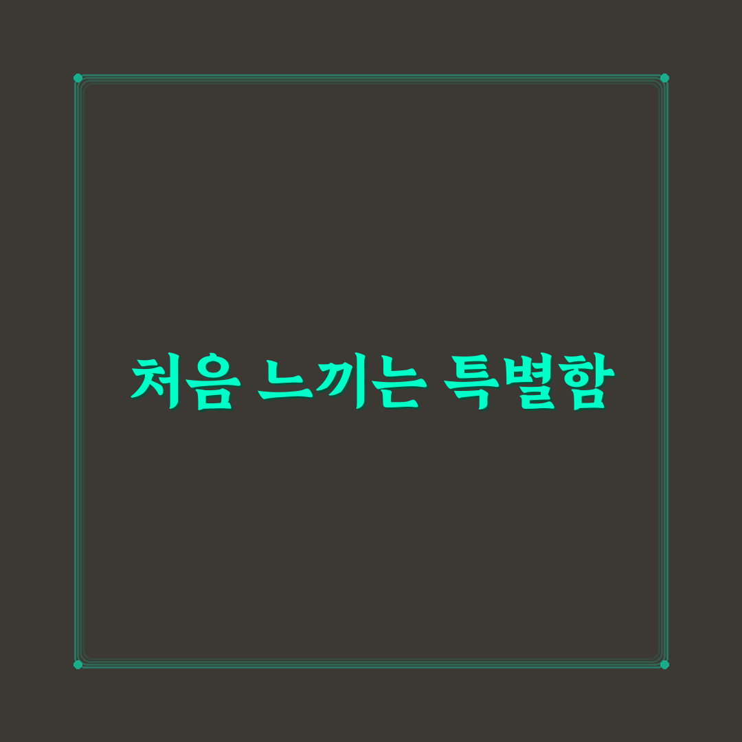 개미핥기 포켓몬 사용 후기, 직접 플레이해보니