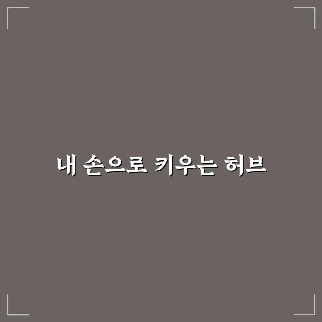 루꼴라 파종시기 직접 알아보니 좋은 시기와 주의점