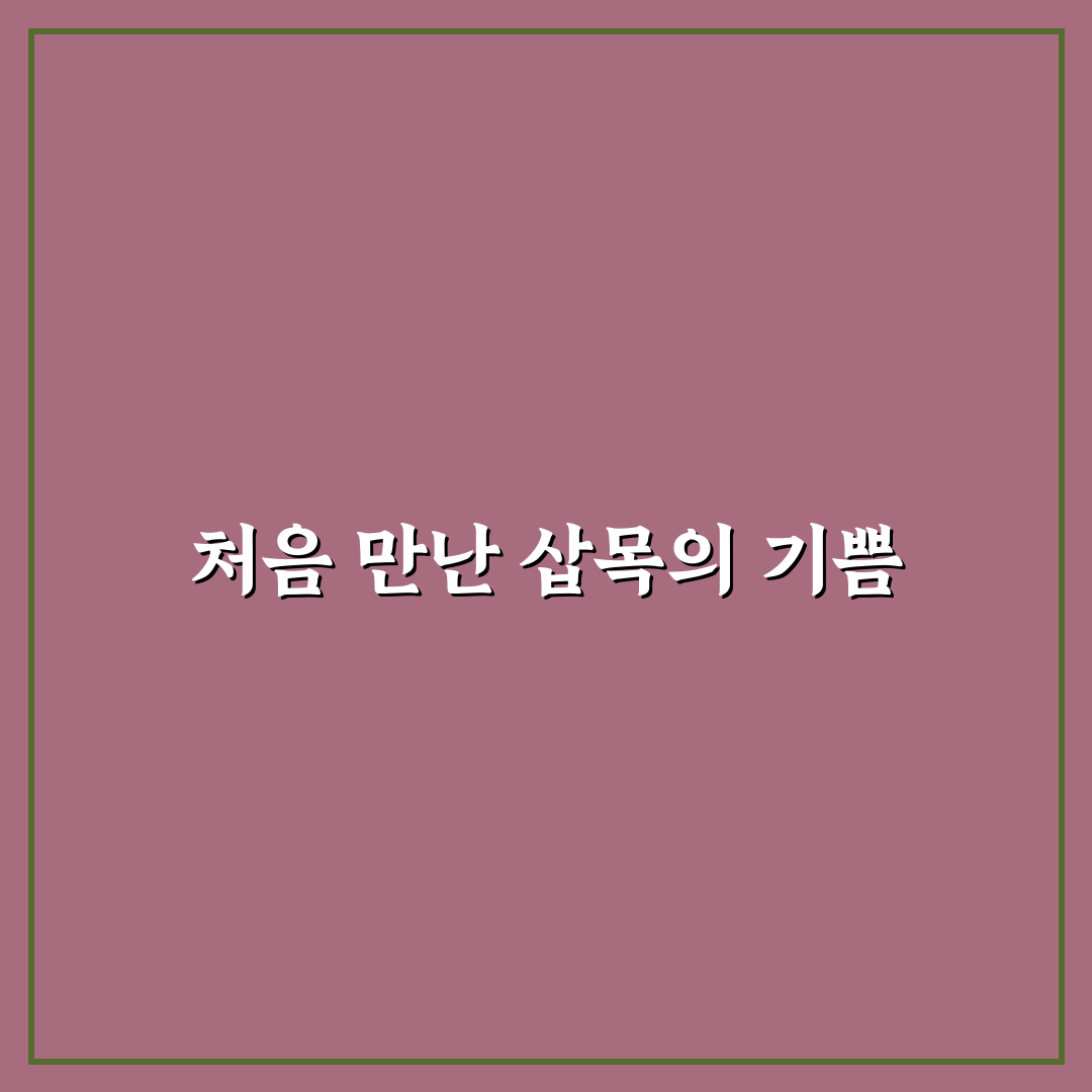 등나무 삽목 후기, 초보가 직접 해보니 알게 된 점