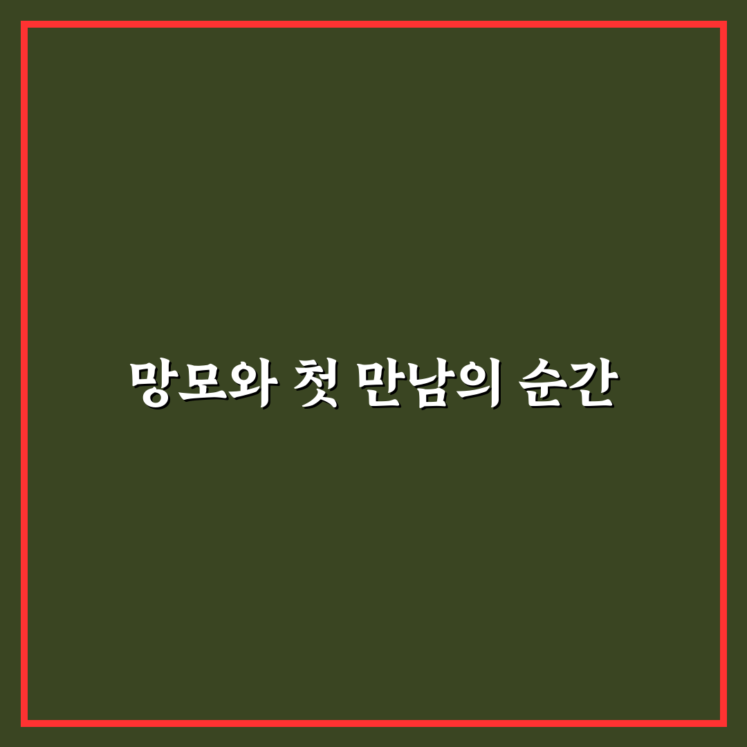 손빈아 망모 직접 이용해보니 알게 된 점들