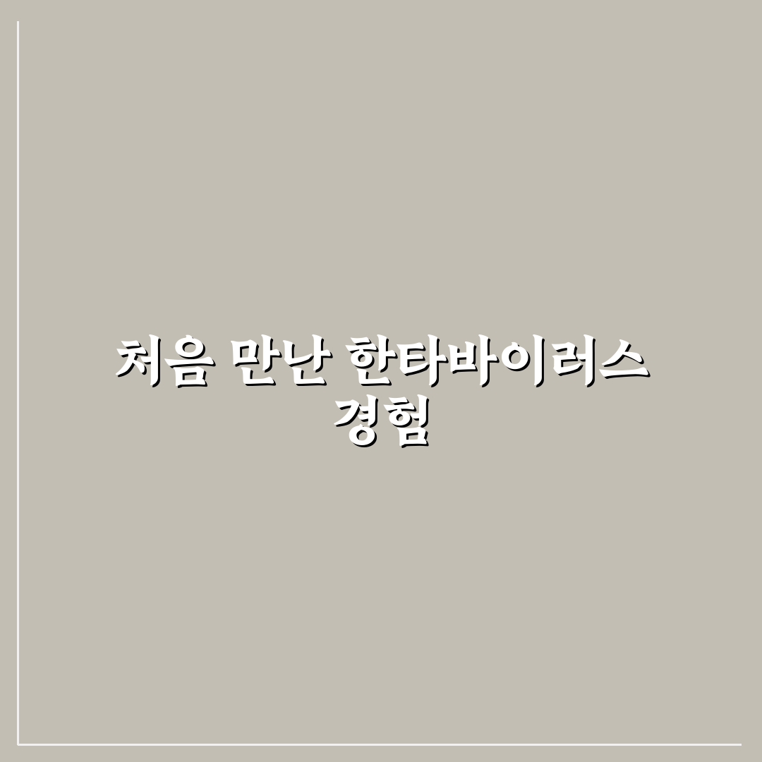 한타바이러스 국내 상황, 직접 알아보니 알게 된 점들