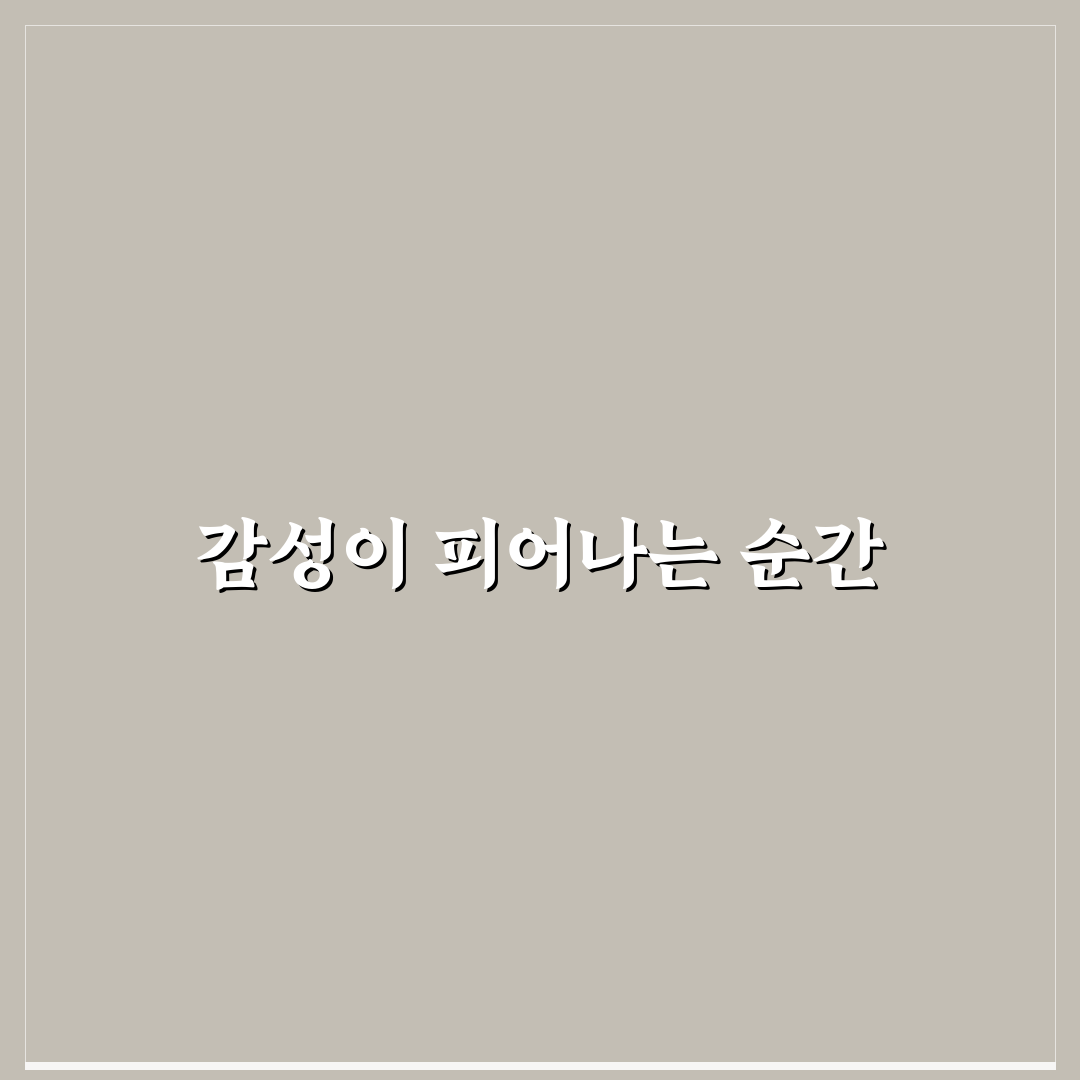 시절인연 가사 리얼리뷰, 뜻과 감정 직접 알아보니