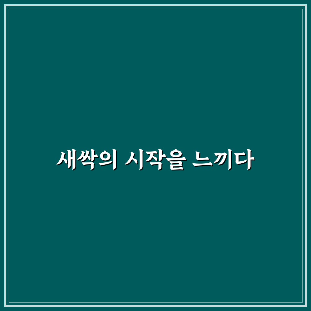 어수리 씨앗 파종시기 직접 알아보니 적기와 관리법