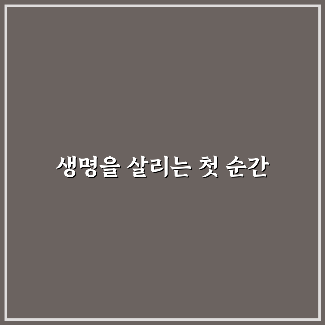 심폐소생술 횟수 직접 알아보니 중요한 이유와 경험담
