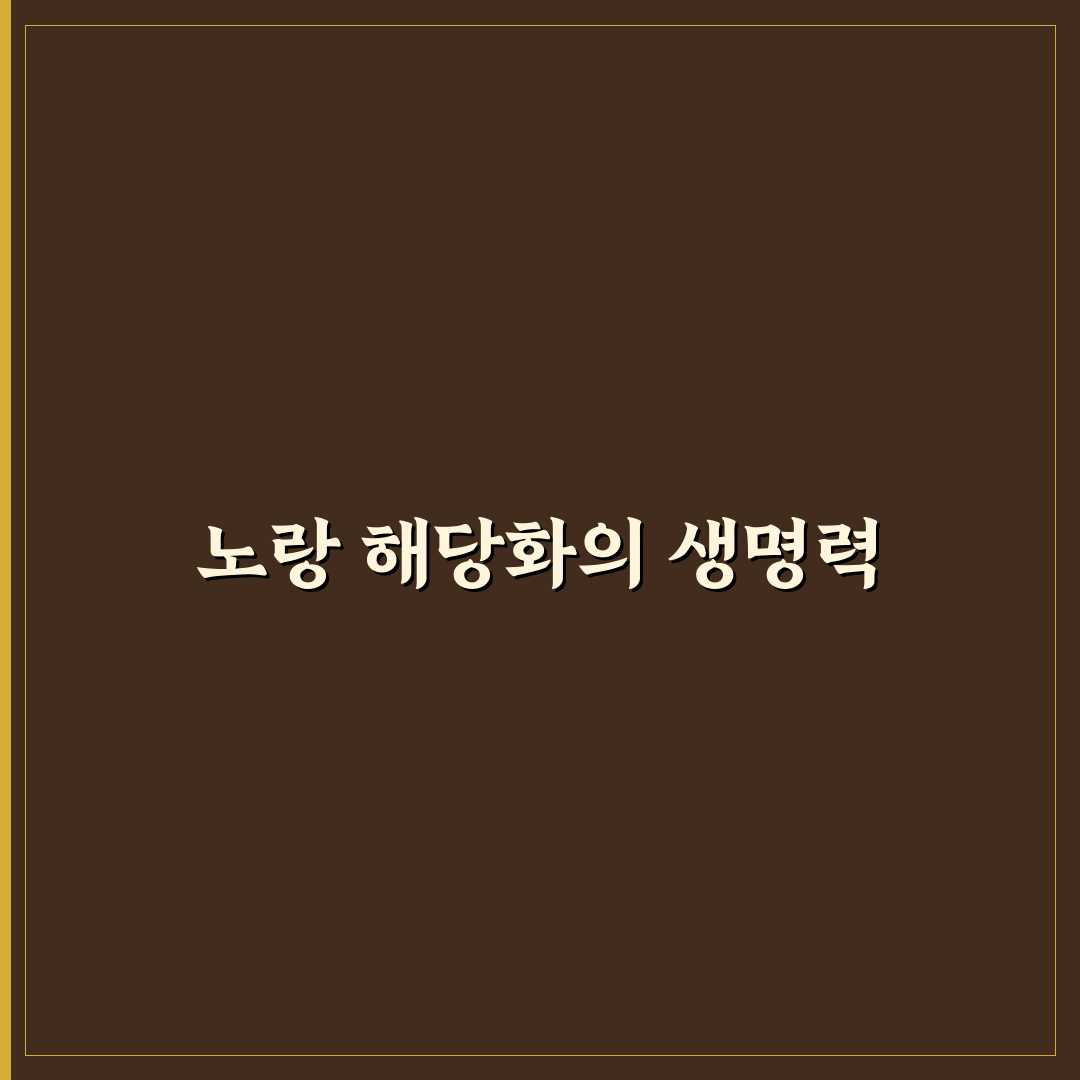 노랑 해당화 묘목 사용 후기, 직접 키워보니 느낌은