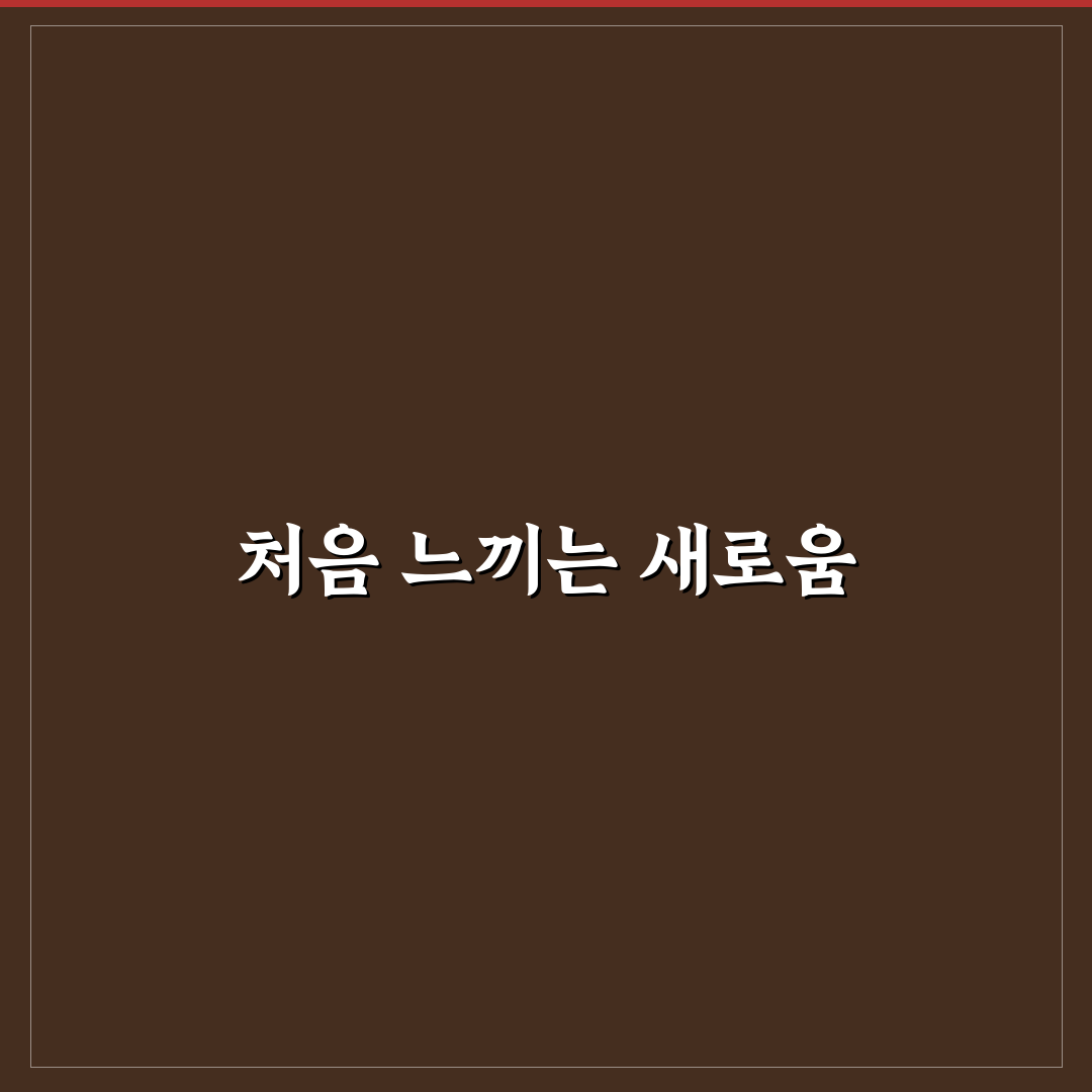 딜라이트 베이글칩 사용 후기, 솔직한 맛과 식감 평가