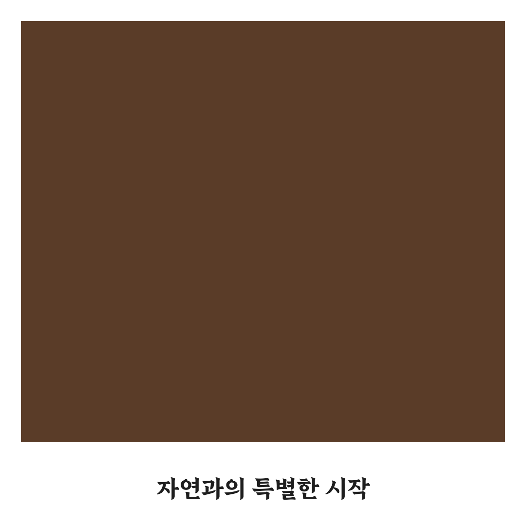 퇴촌 시골밥상 방문 후기, 직접 가보니 분위기와 맛은?