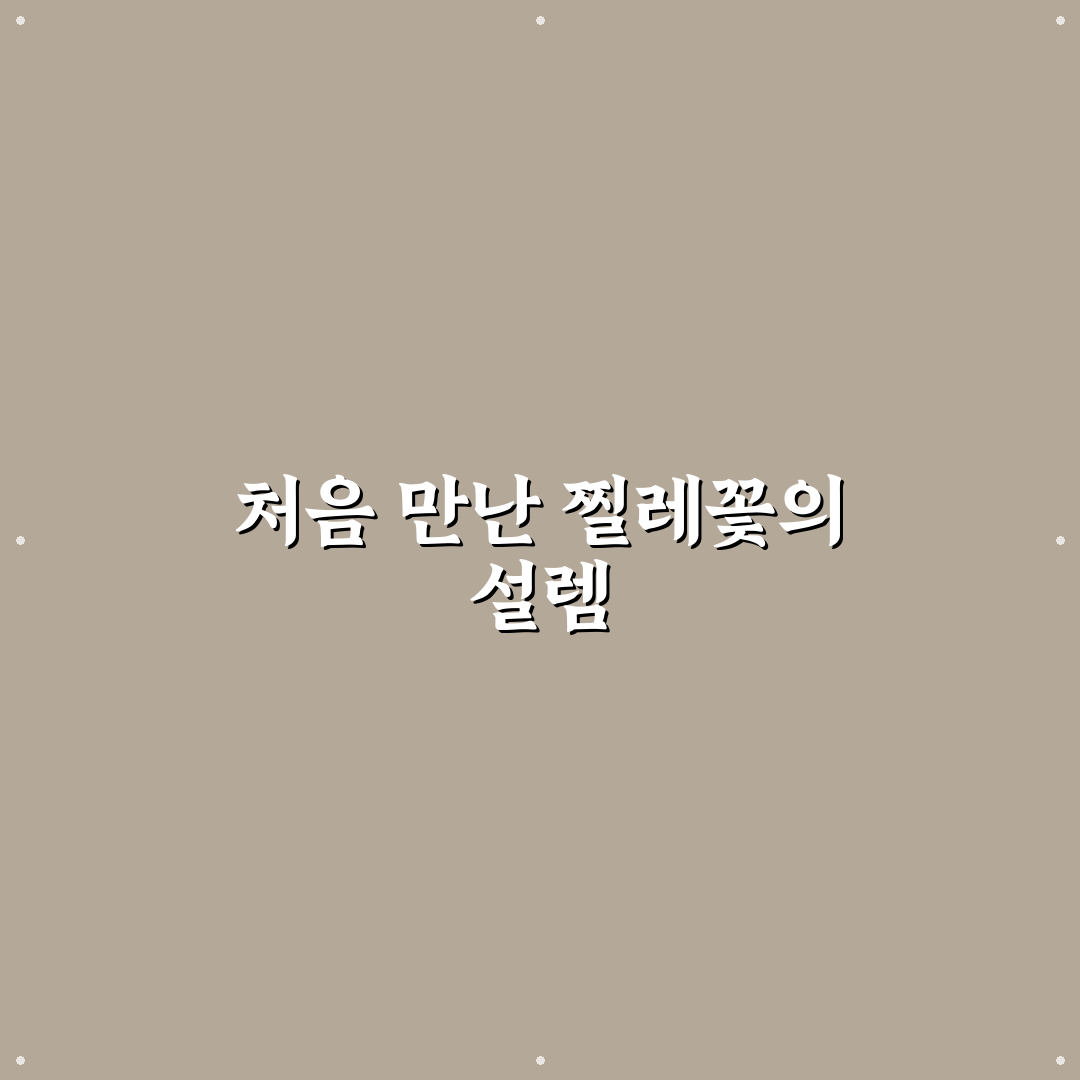 찔레꽃 필 무렵 시청 후기, 직접 보니 느낀 점