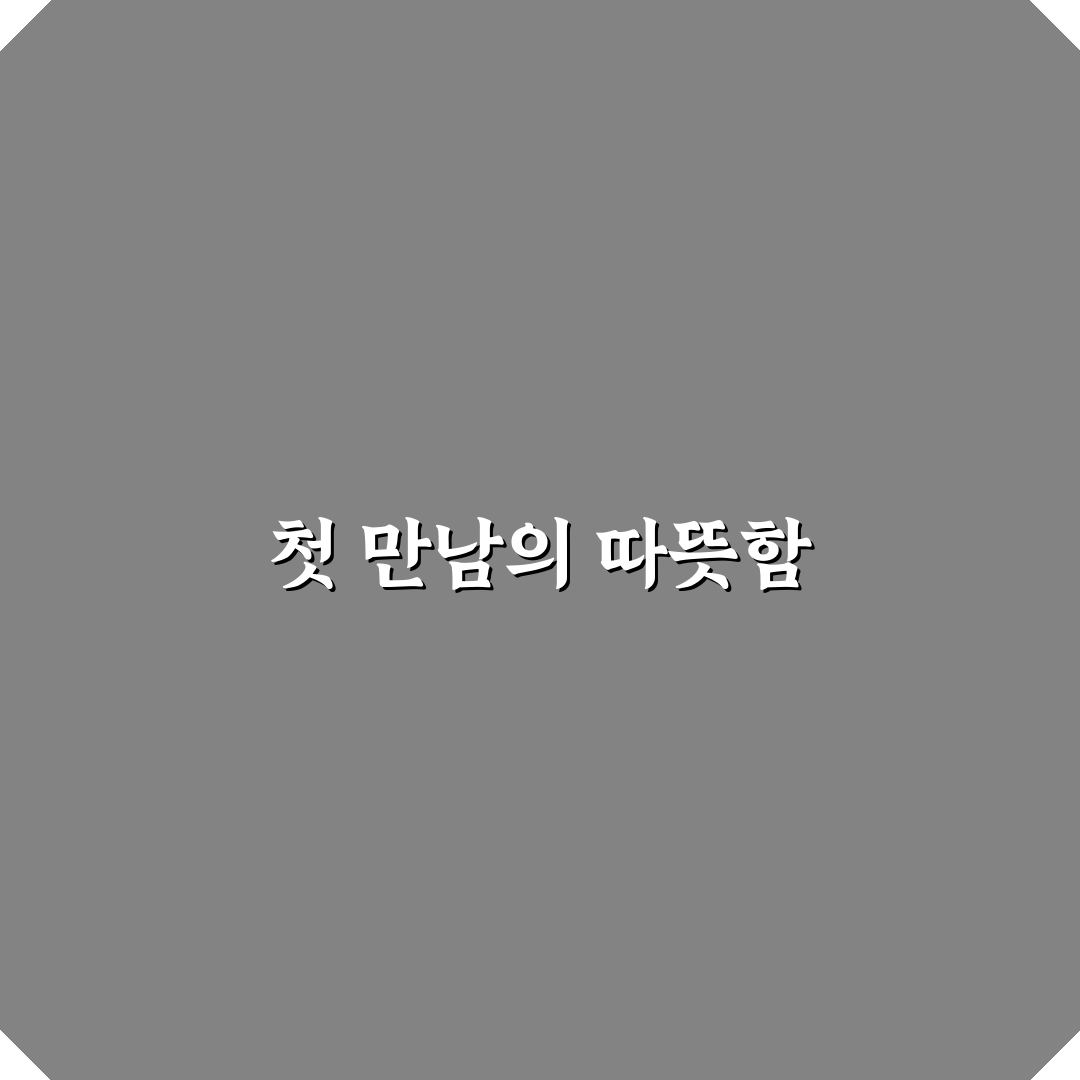 데미안스카시썸머니트4종 사용 후기, 직접 써보니 느낌은