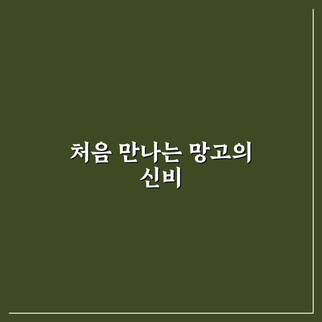 혼똔섬 망고뷔페 방문 후기, 직접 가보니 과일 상태가 궁금했어요