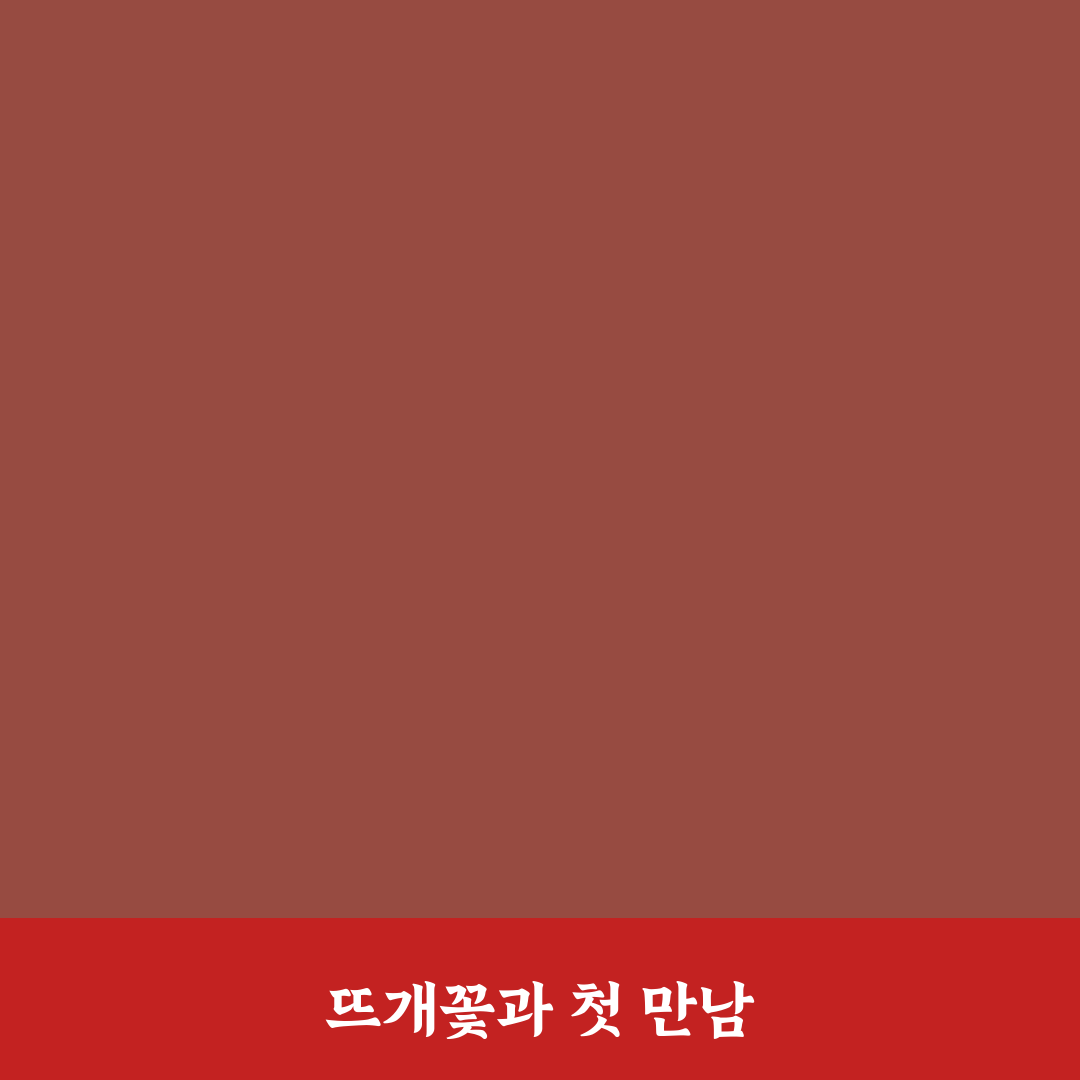 어버이날 뜨개꽃 직접 만들어보니 생각보다 손이 많이 갔어요