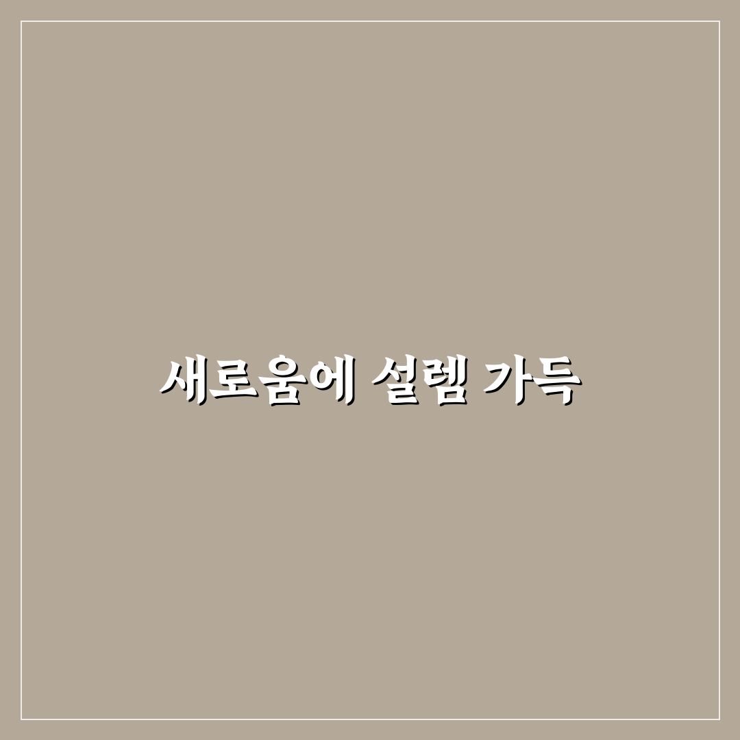 라포레 윙플라 비교 사용 후기, 직접 써보니 달랐던 점
