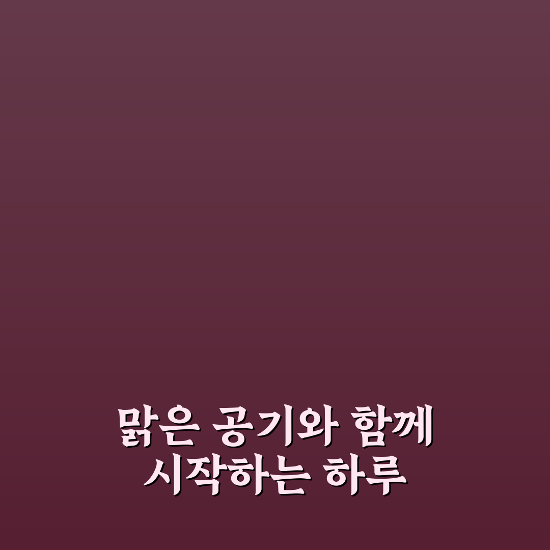 퇴촌 브런치 카페 방문 후기, 조용한 분위기 직접 가보니
