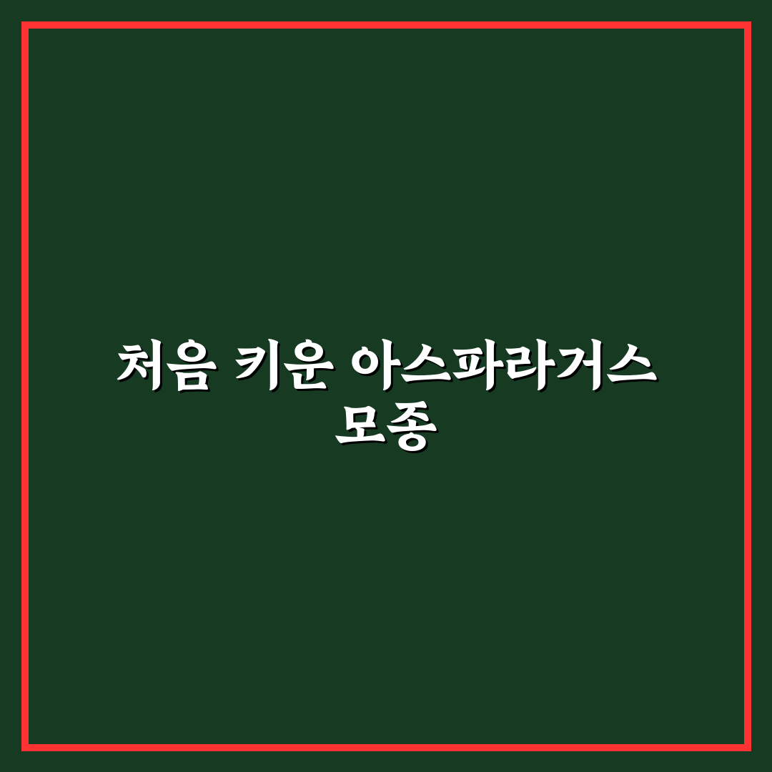아스파라거스 모종 심기 후기, 직접 해보니 알게 된 점