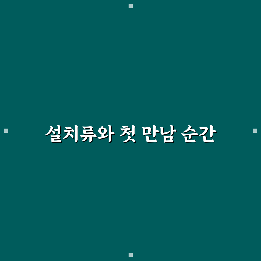 설치류 뜻 직접 알아보니 의외로 다양했어요