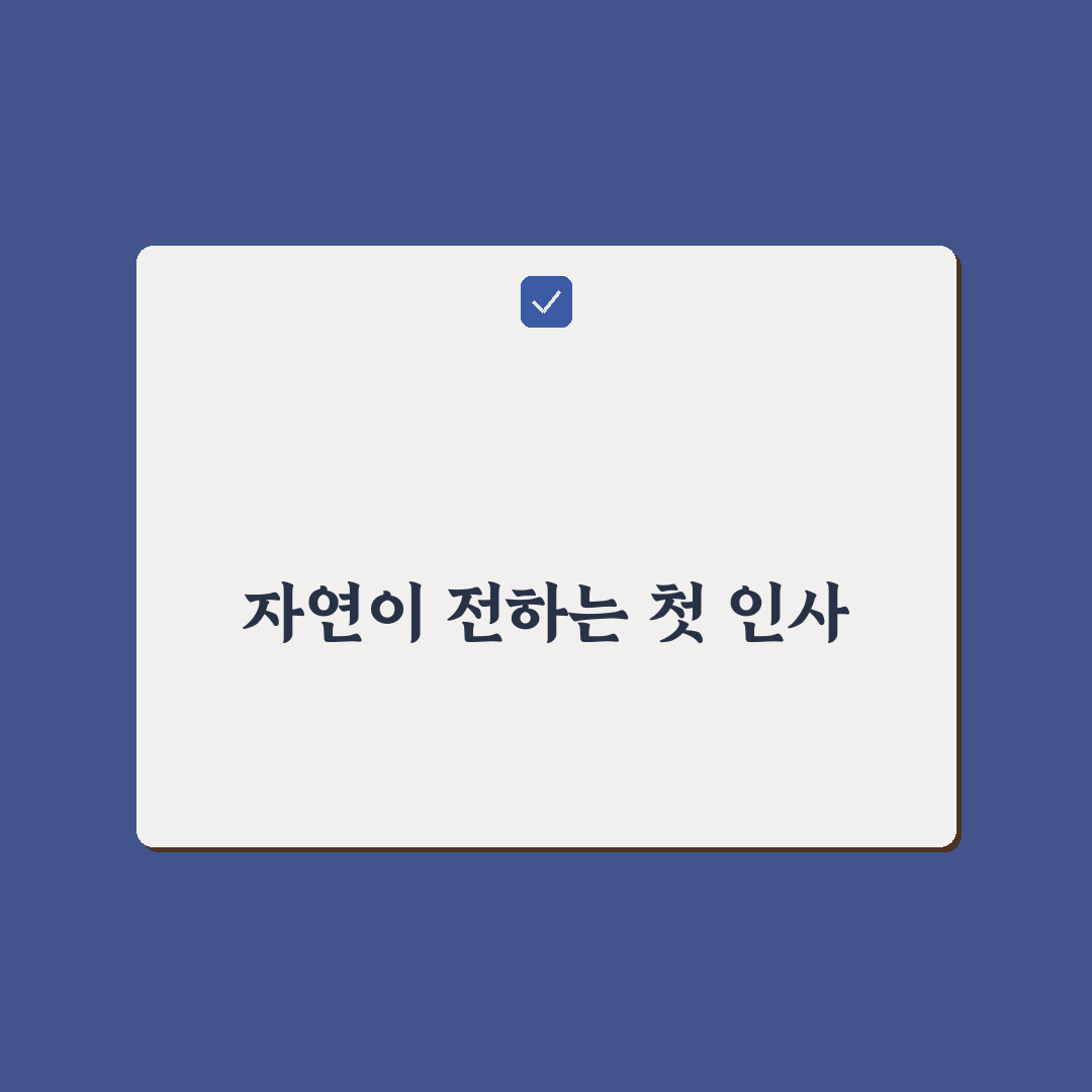 이팝나무 가루 사용 후기, 직접 써보니 효과와 아쉬움