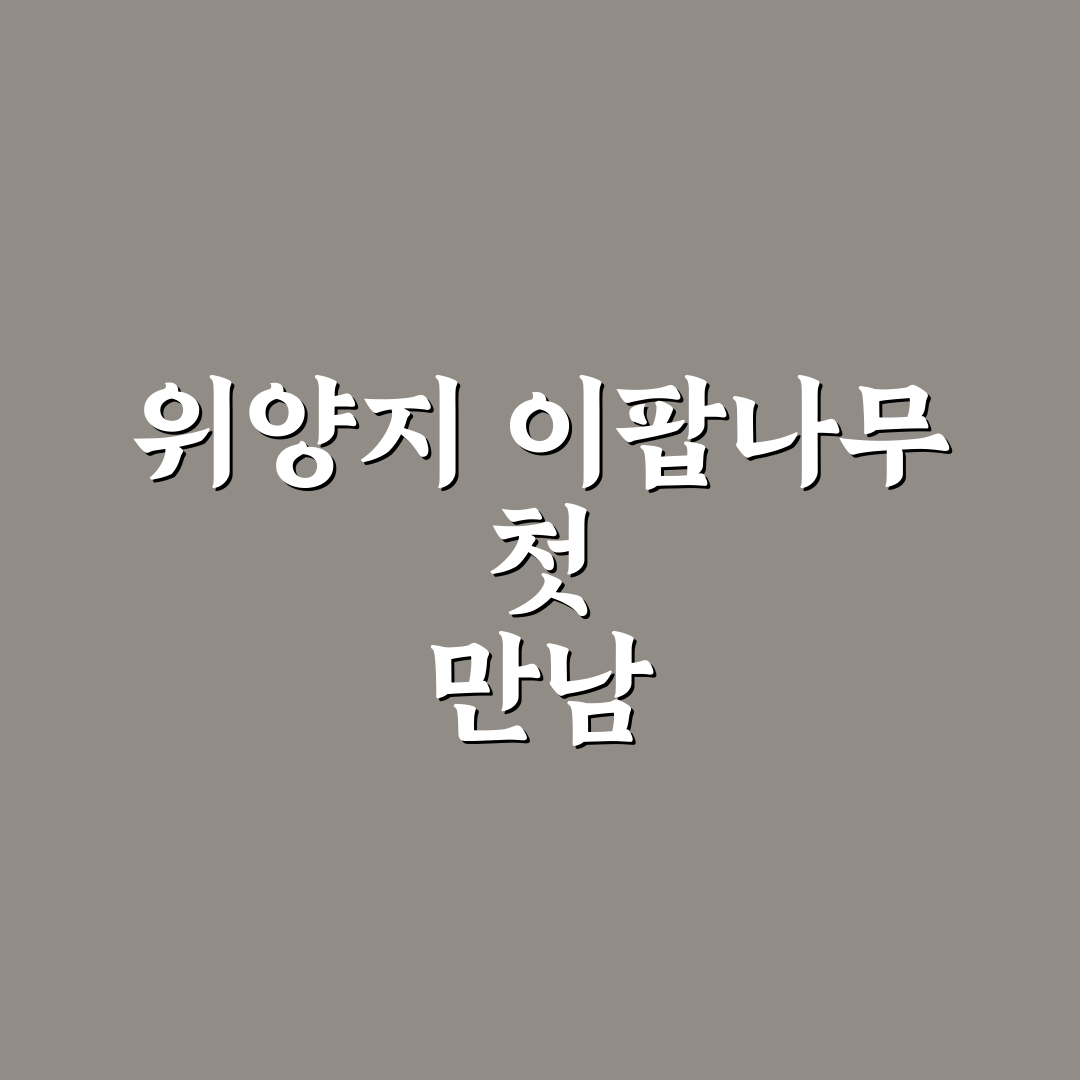 위양지 이팝나무 방문 후기, 산책하며 느낀 점들