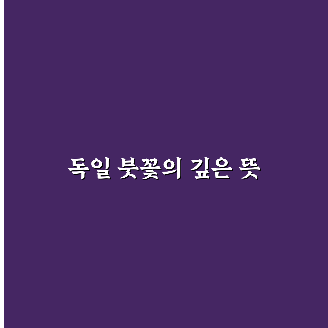 독일 붓꽃 꽃말 직접 알아보니 뜻이 궁금했어요