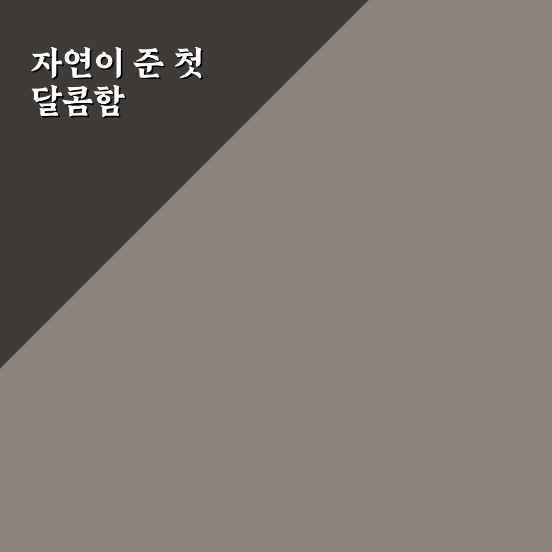 때죽나무꿀 효능 직접 알아보니 효과가 궁금했어요