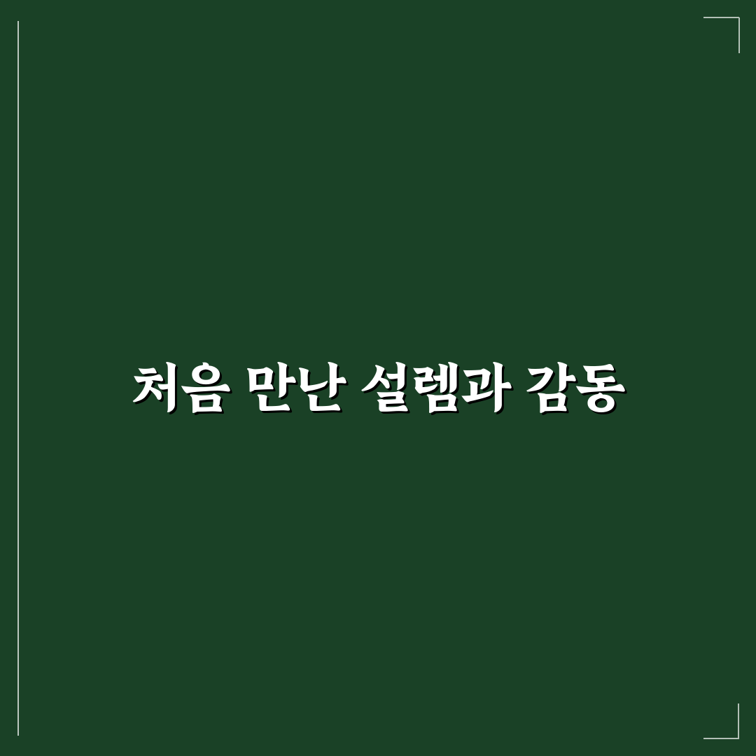 작약 엔젤칙스 사용 후기, 직접 써보니 솔직한 이야기