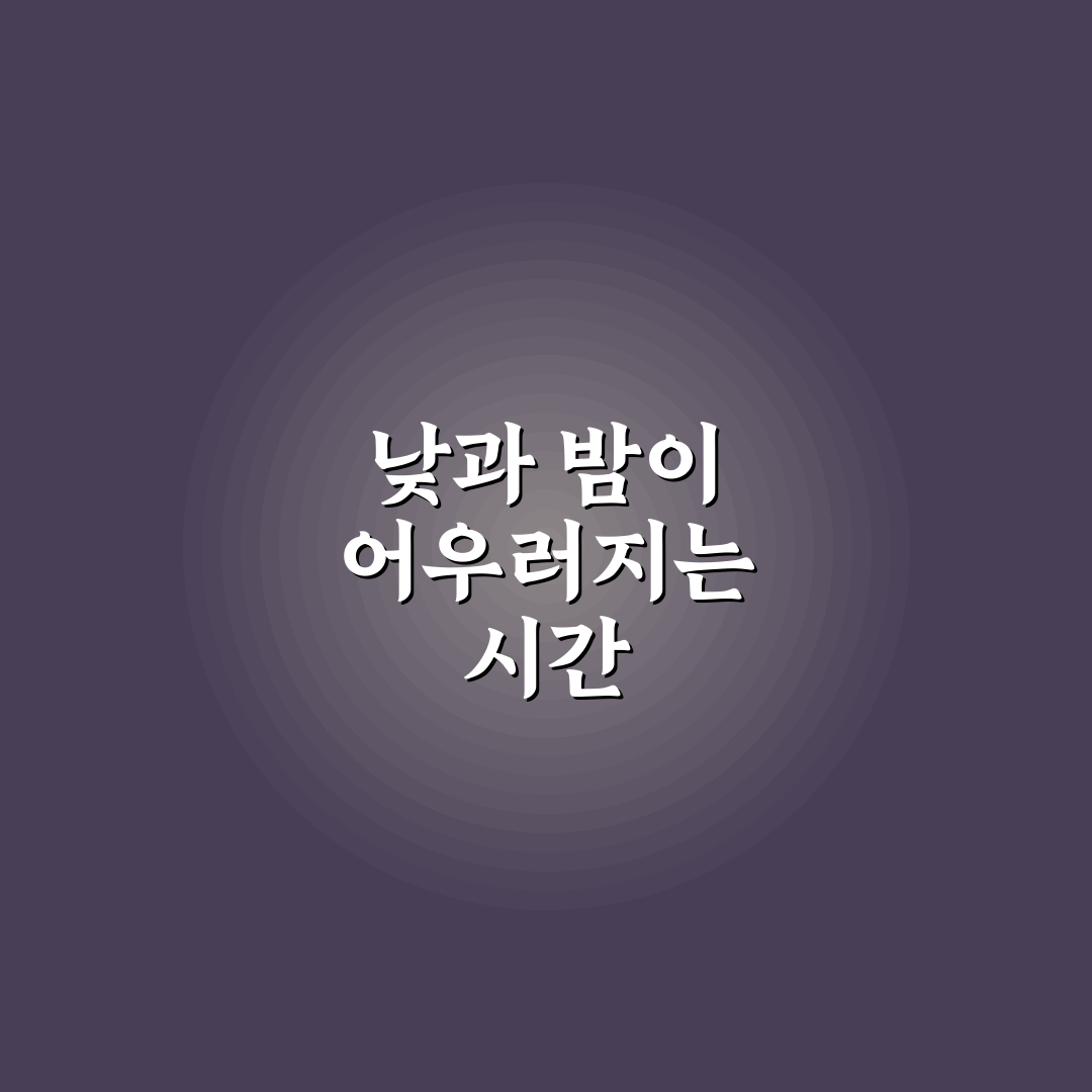행신동 늦은 오후 방문 후기, 고즈넉한 분위기 경험기